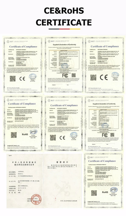 Versatile Shoe Washing Bag - Durable Mesh Laundry Bag for Sneakers, Running Shoes, Socks & Bras with Zipper Closure, Laundry Bag